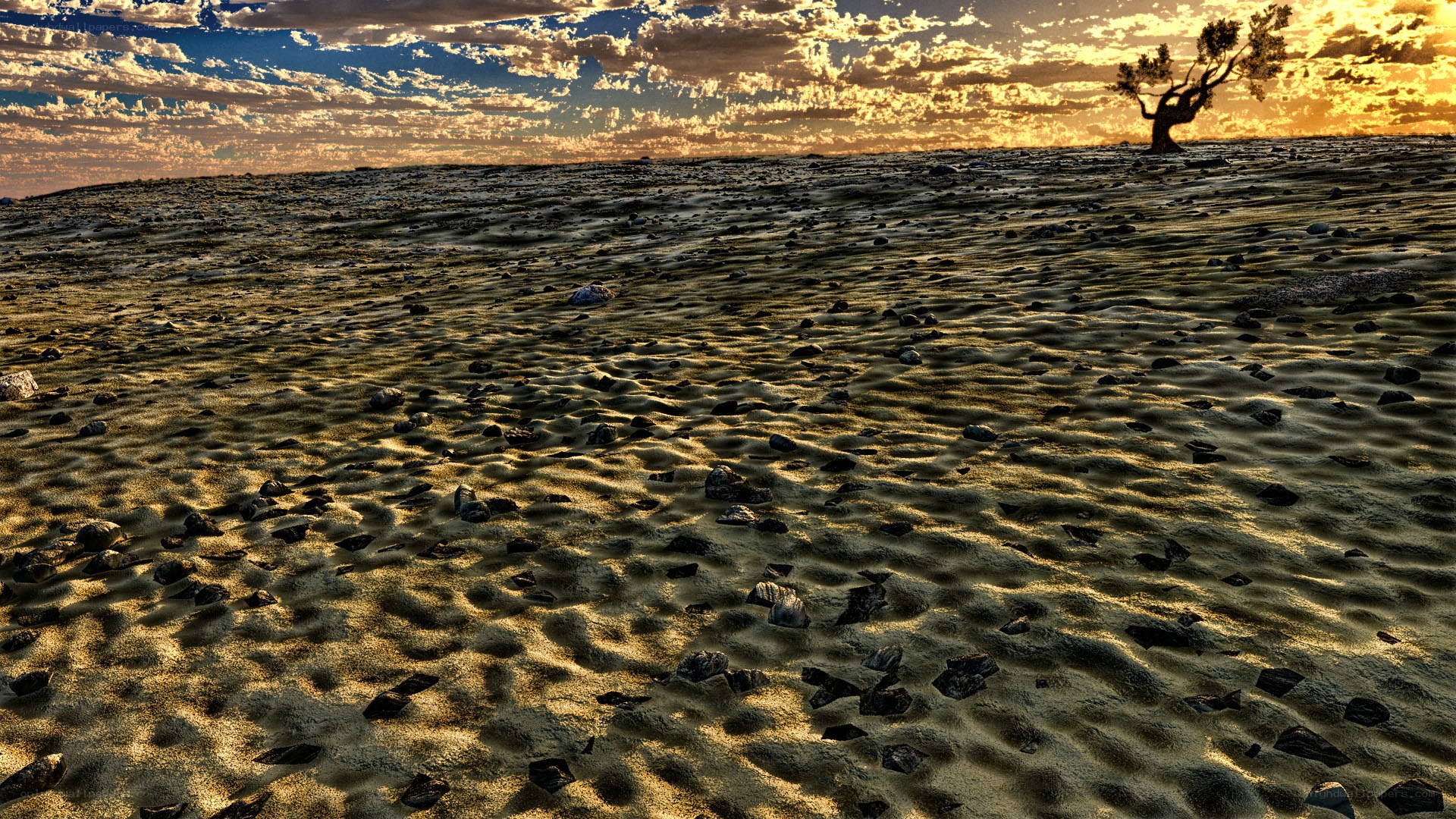 Desert landscape at sunset