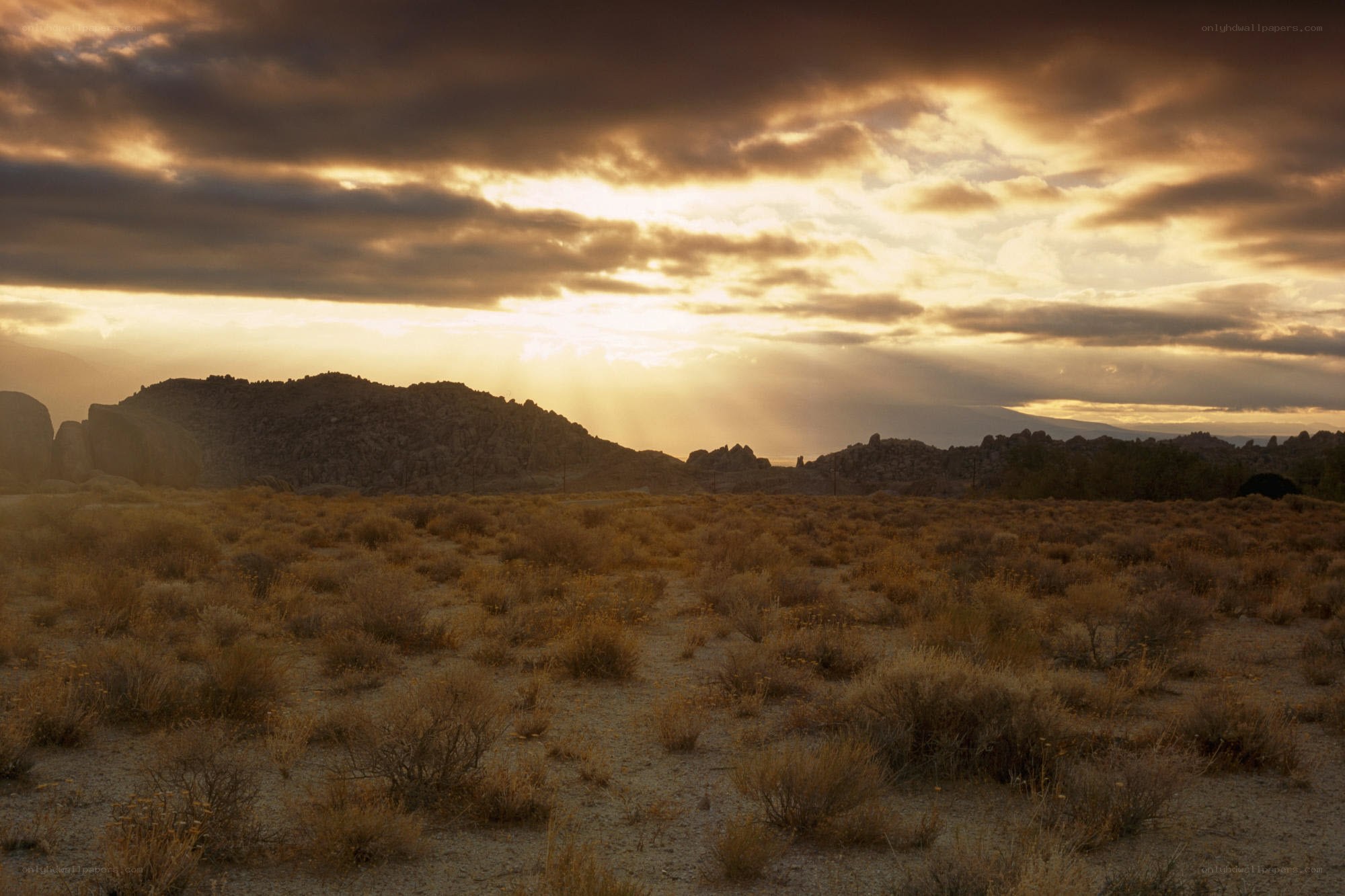 Desert landscape at sunset