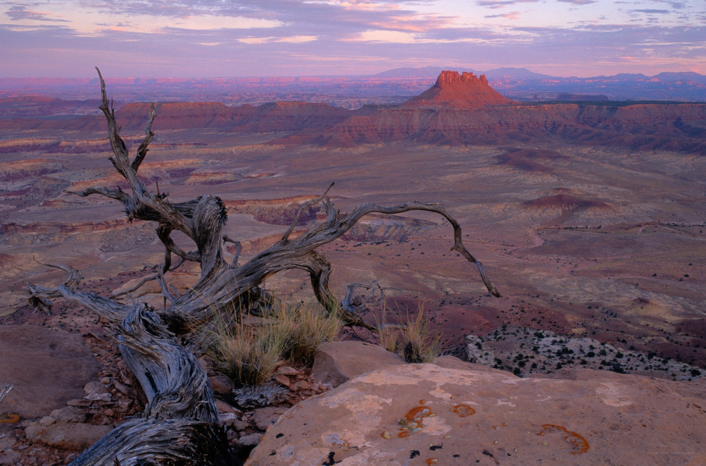 Desert landscape at sunset