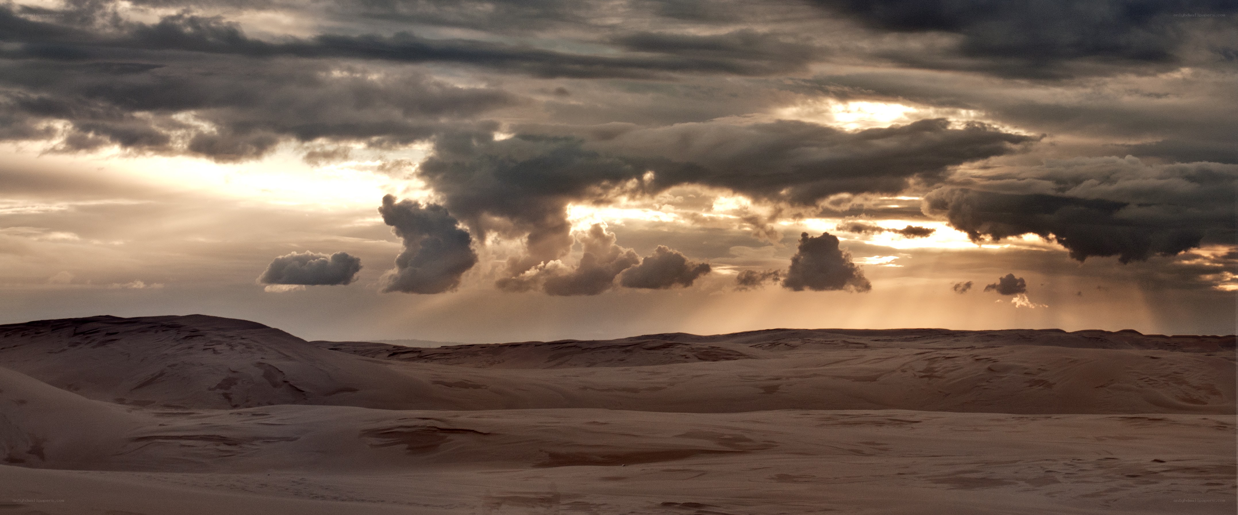 Desert landscape at sunset