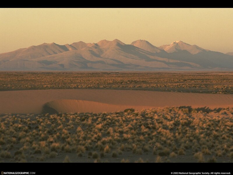 Desert landscape at sunset