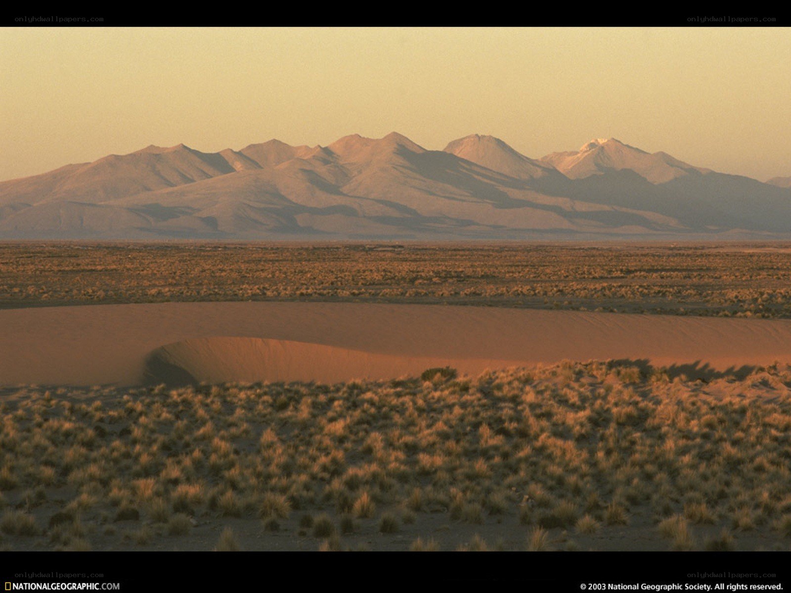 Desert landscape at sunset
