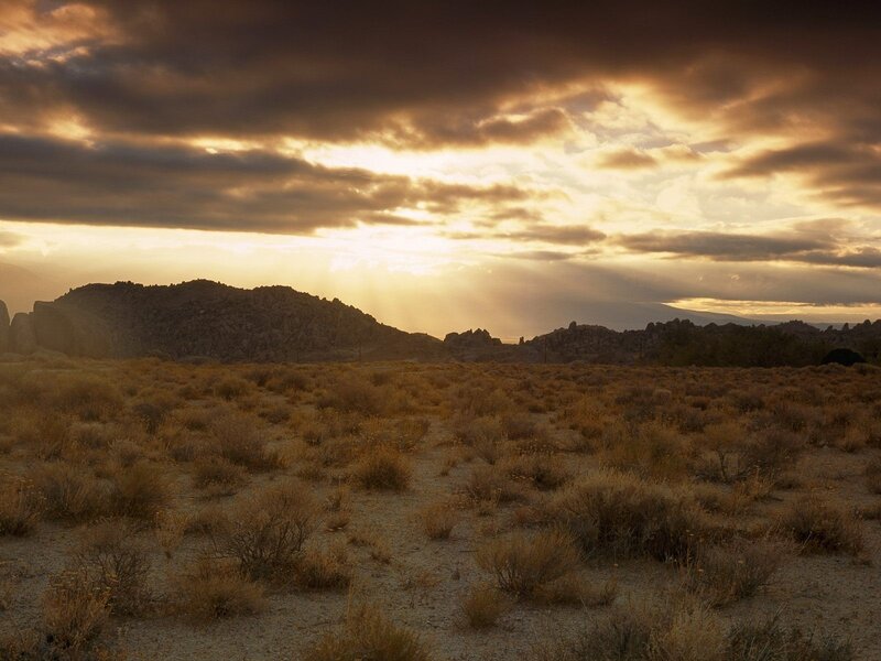 Desert landscape at sunset