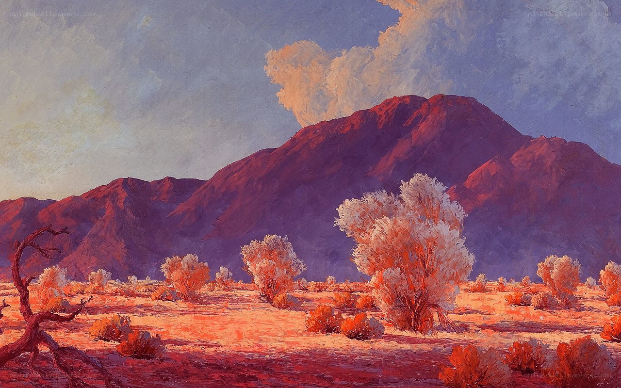 Desert landscape at sunset