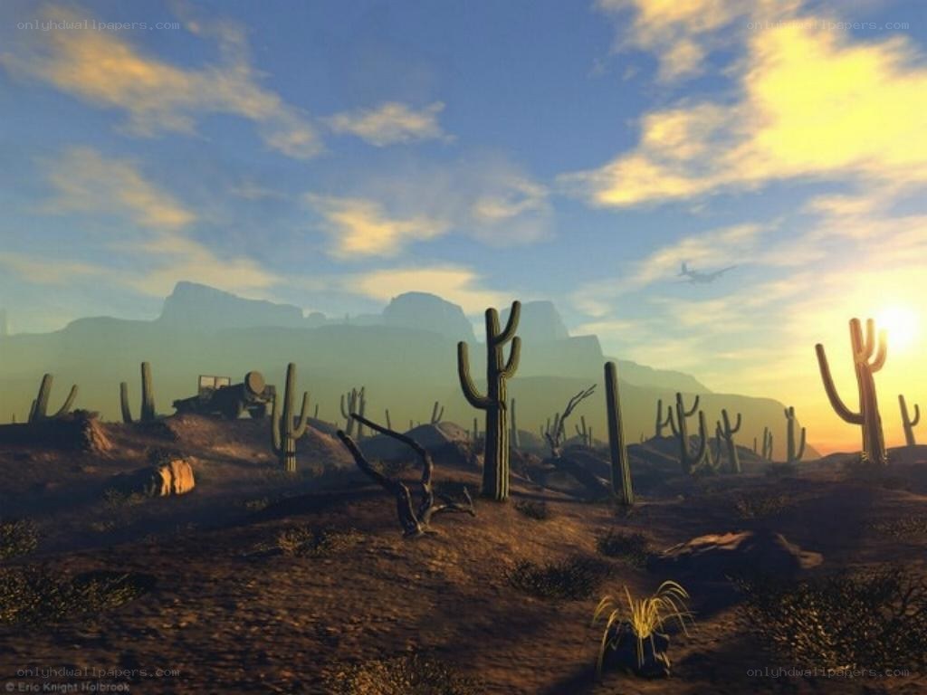 Desert landscape at sunset