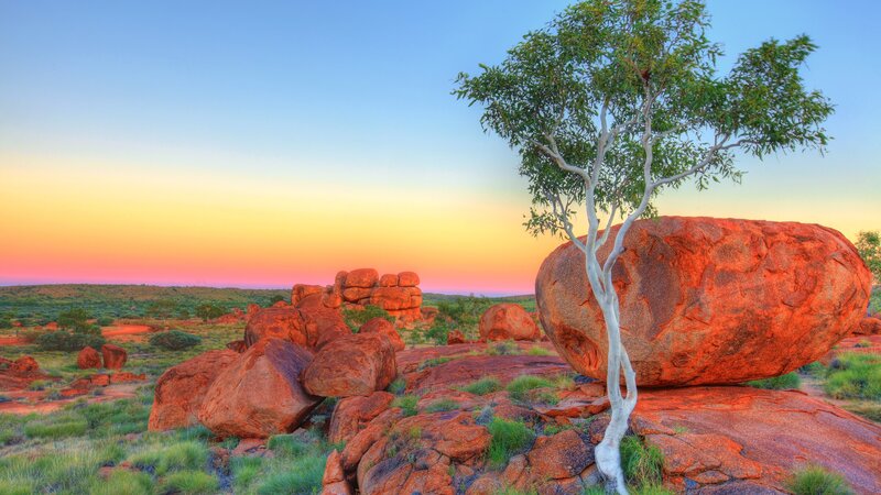 Desert landscape at sunset