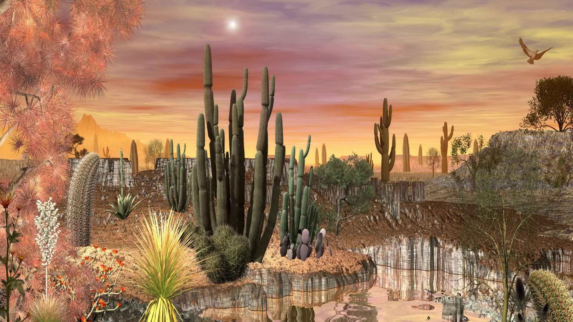 Desert landscape at sunset