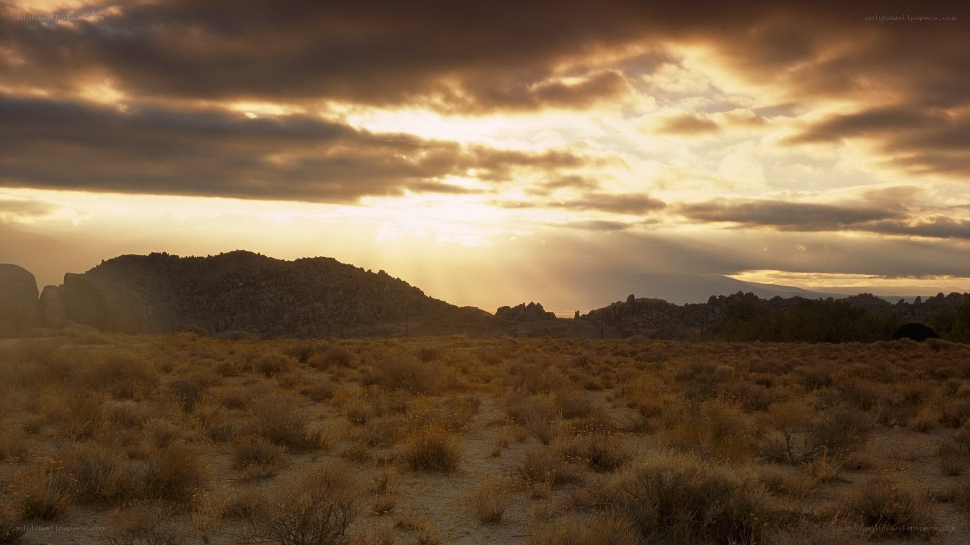 Desert landscape at sunset