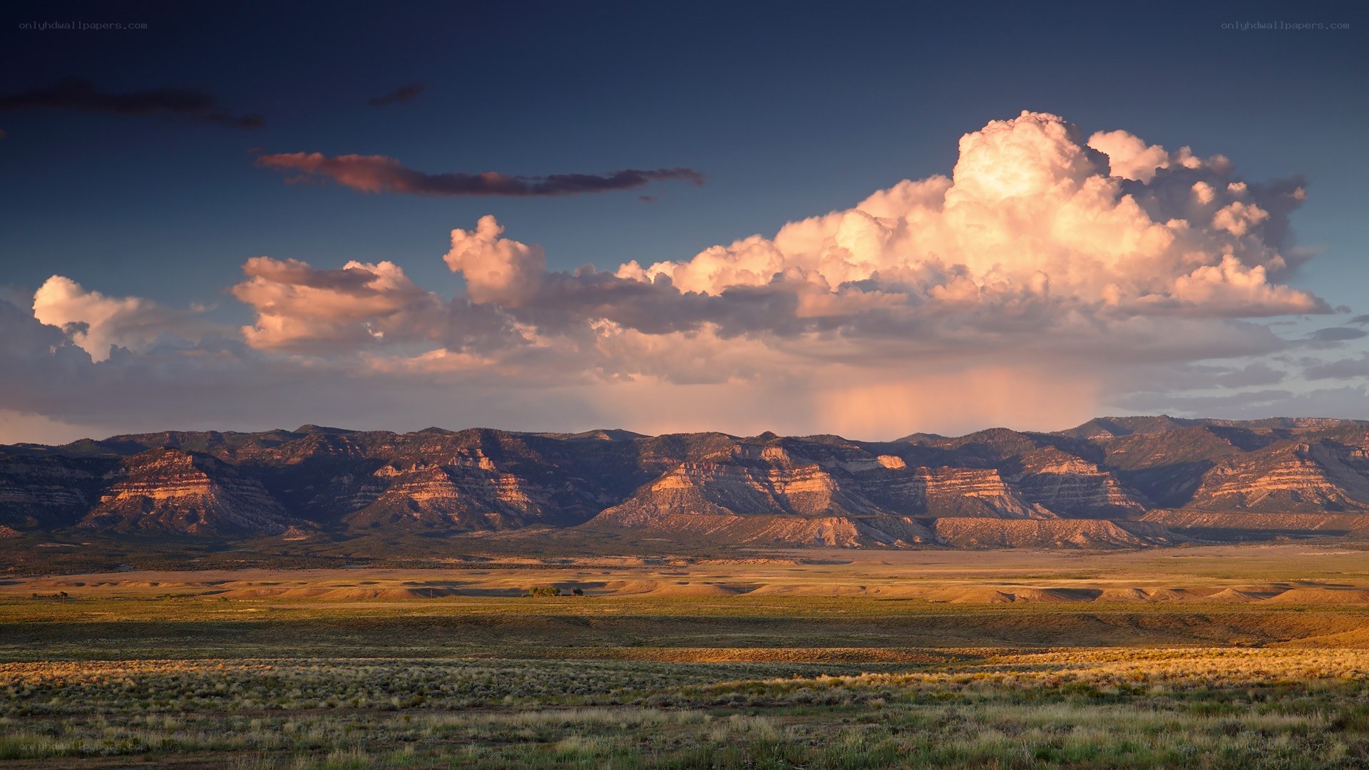 Desert landscape at sunset