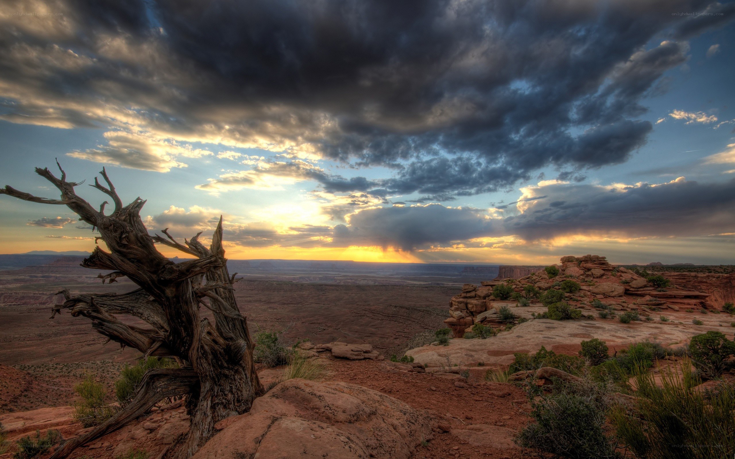 Desert landscape at sunset