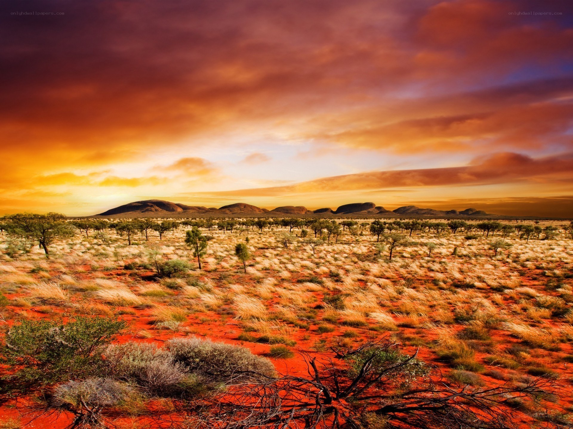 Desert landscape at sunset