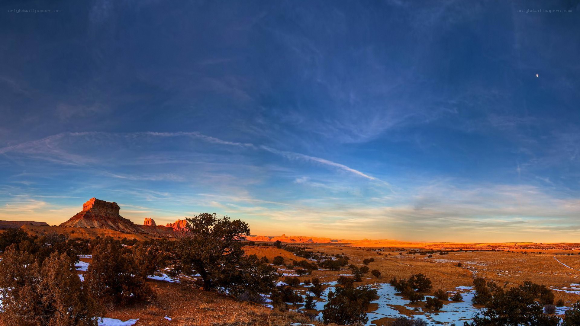 Desert landscape at sunset