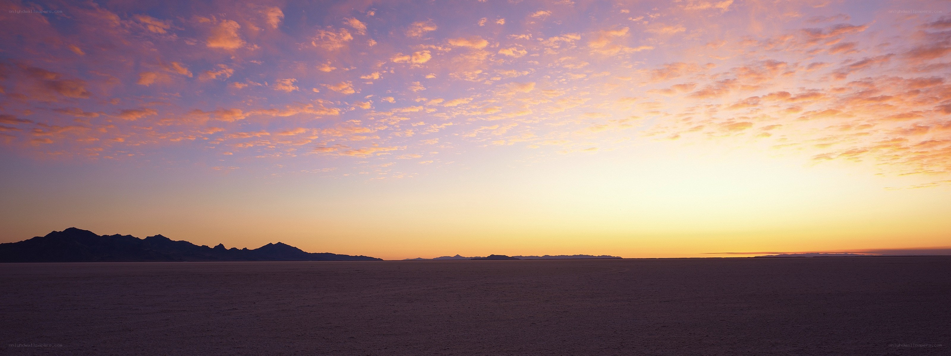 Desert landscape at sunset