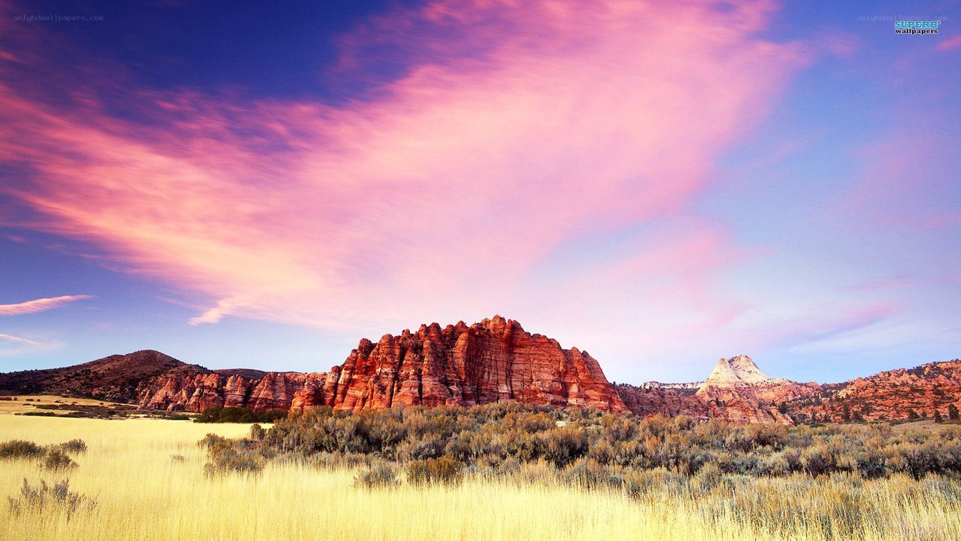 Desert landscape at sunset