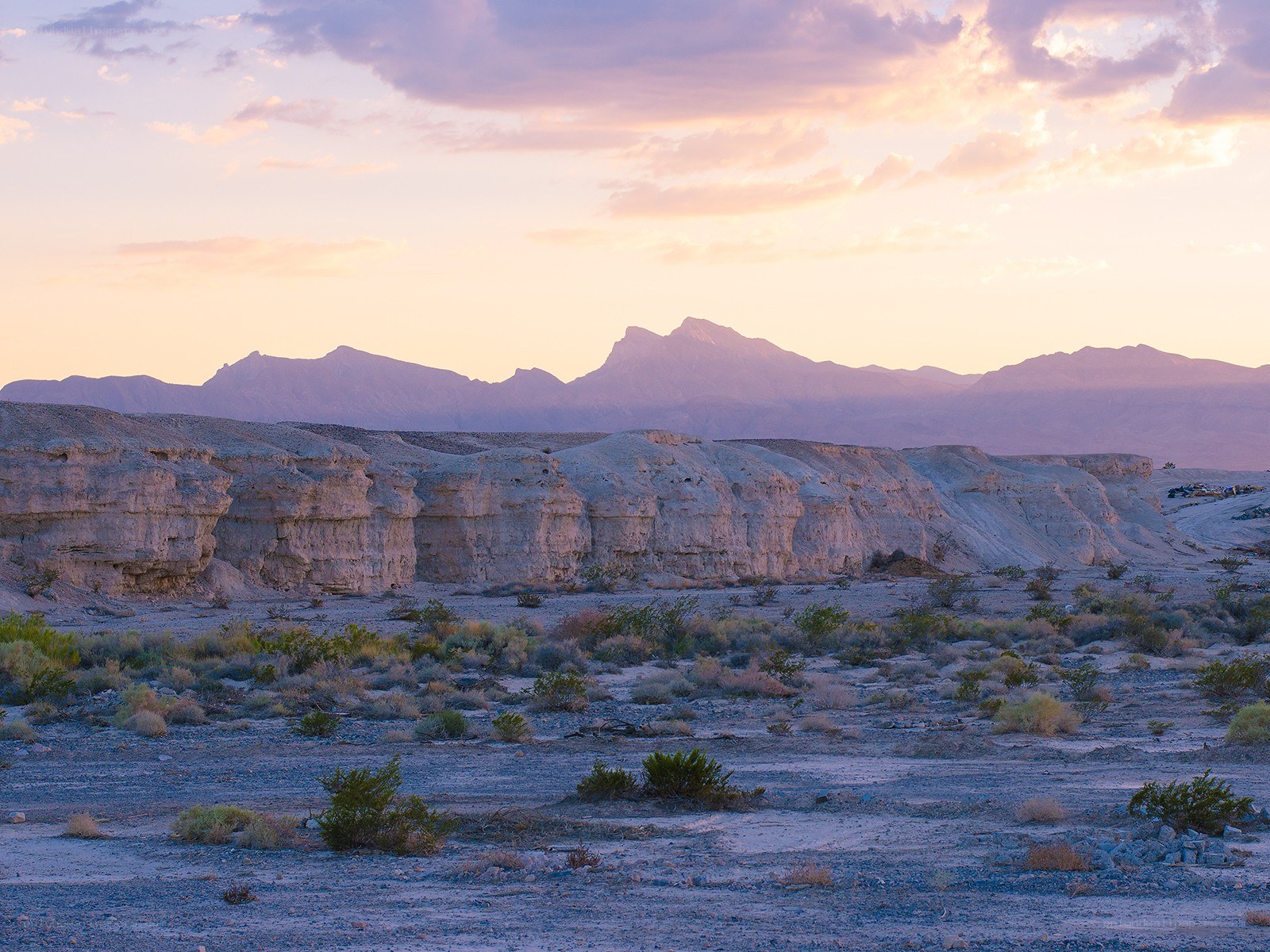 Desert landscape at sunset