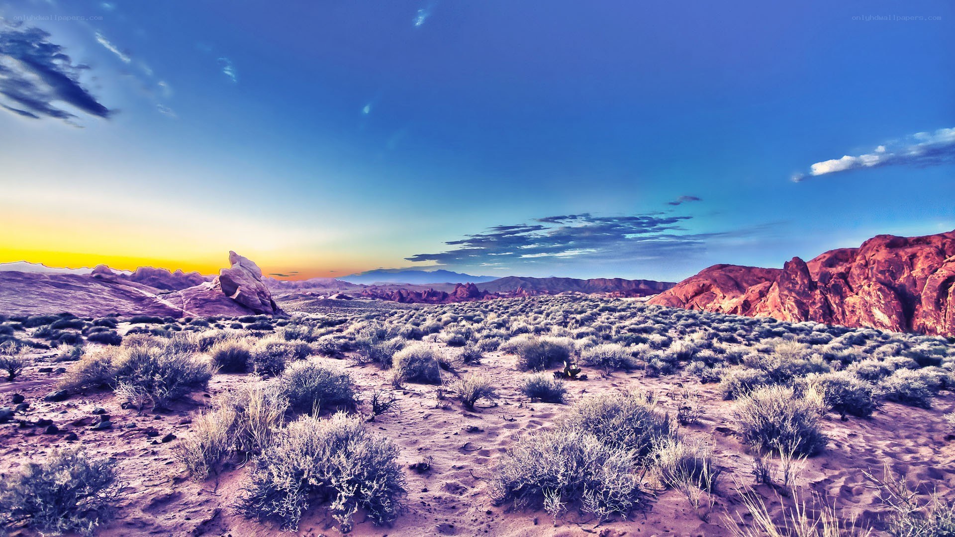 Desert landscape at sunset