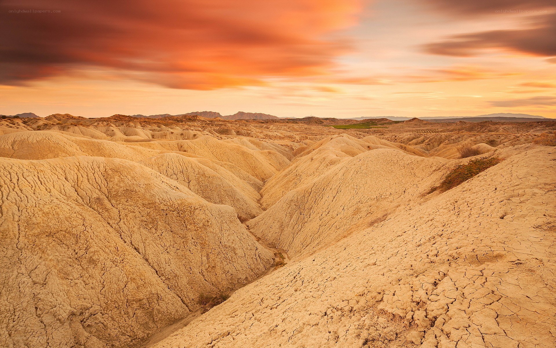 Desert landscape at sunset