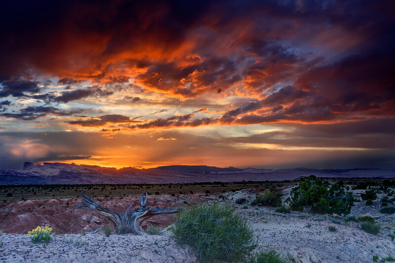 Desert Landscape at Sunset — Orange, Dramatic, Photograph, Clouds, Mountains, Dead Tree
