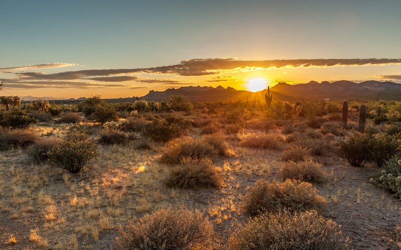 Desert Landscape at Sunset — Orange, Serene, Photograph, Cactus
