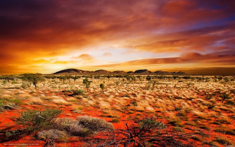 Desert landscape at sunset