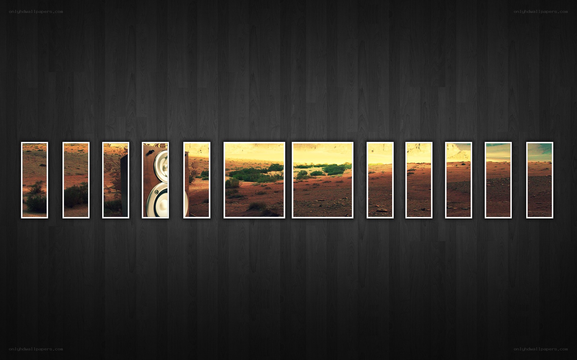 Desert landscape collage