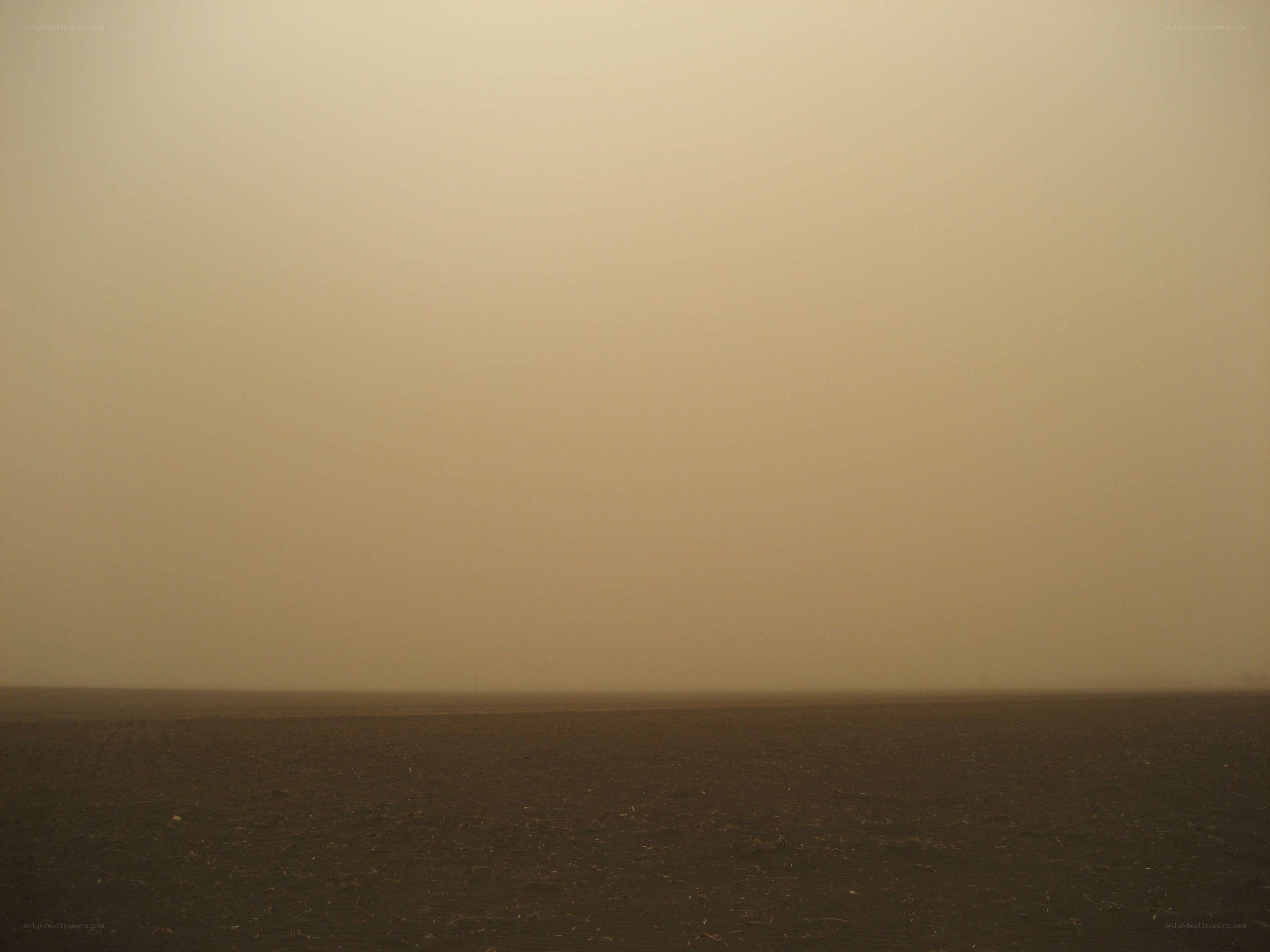 Desert landscape during sandstorm