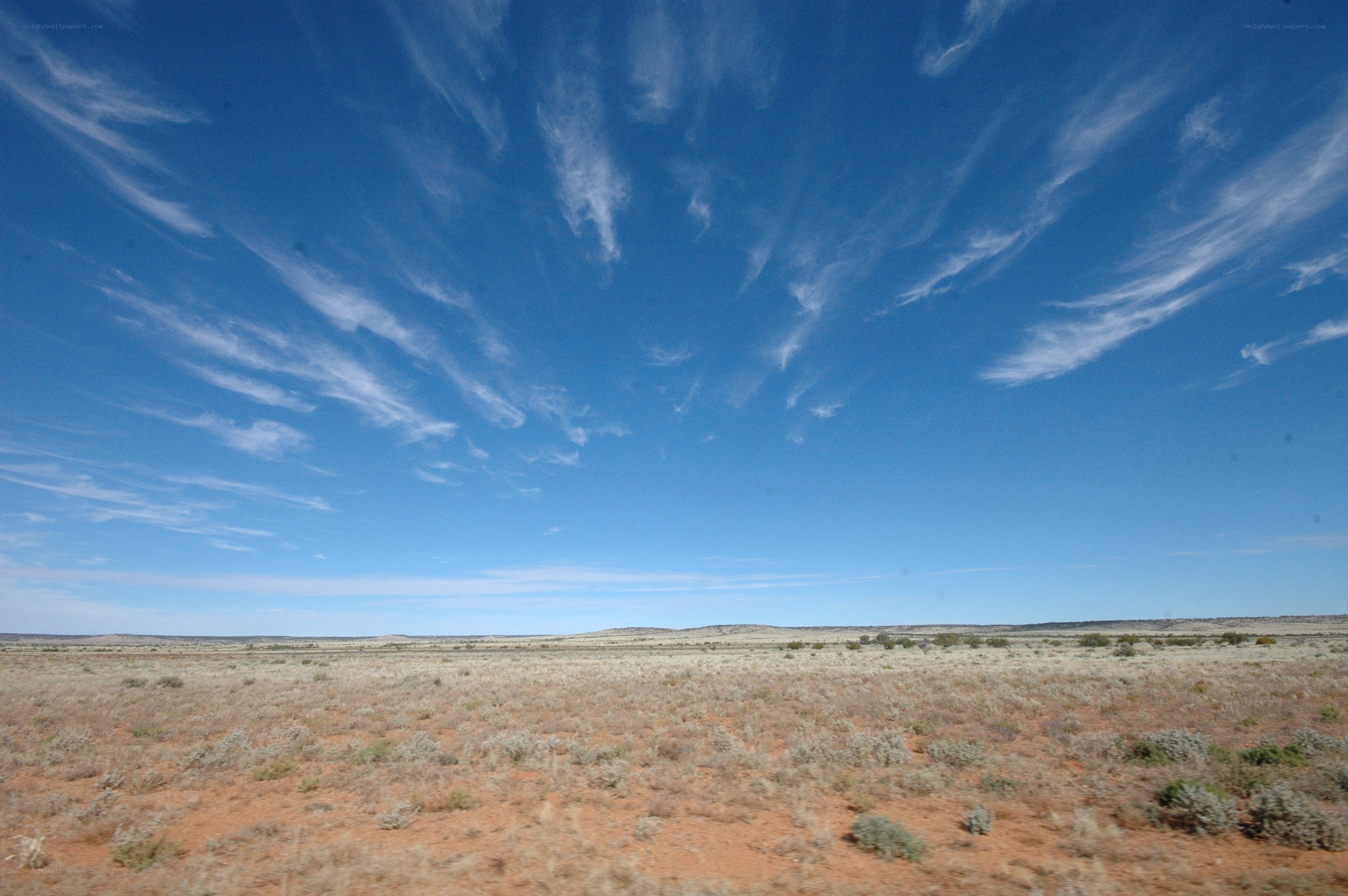 Desert landscape under blue sky