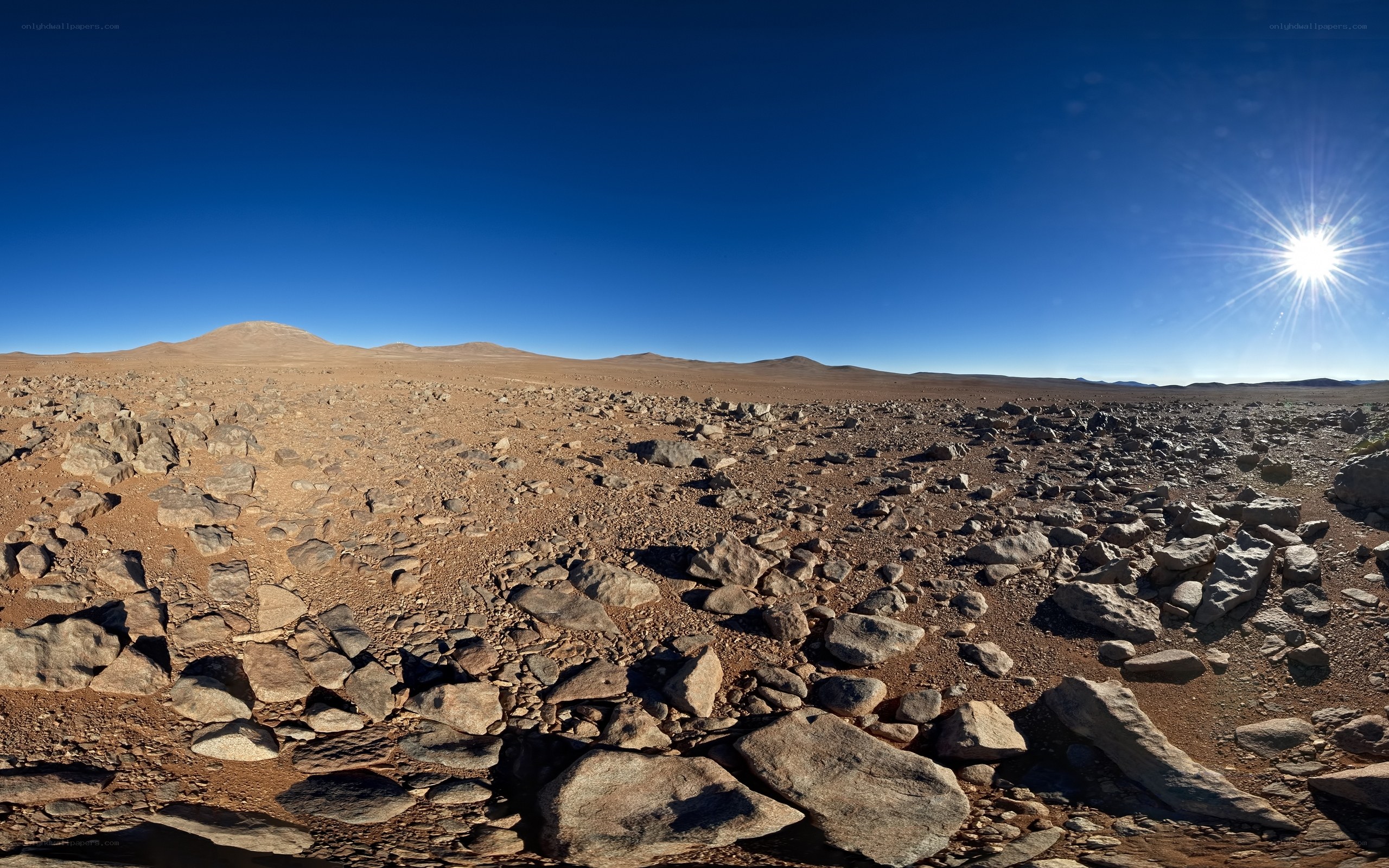 Desert landscape under bright sun