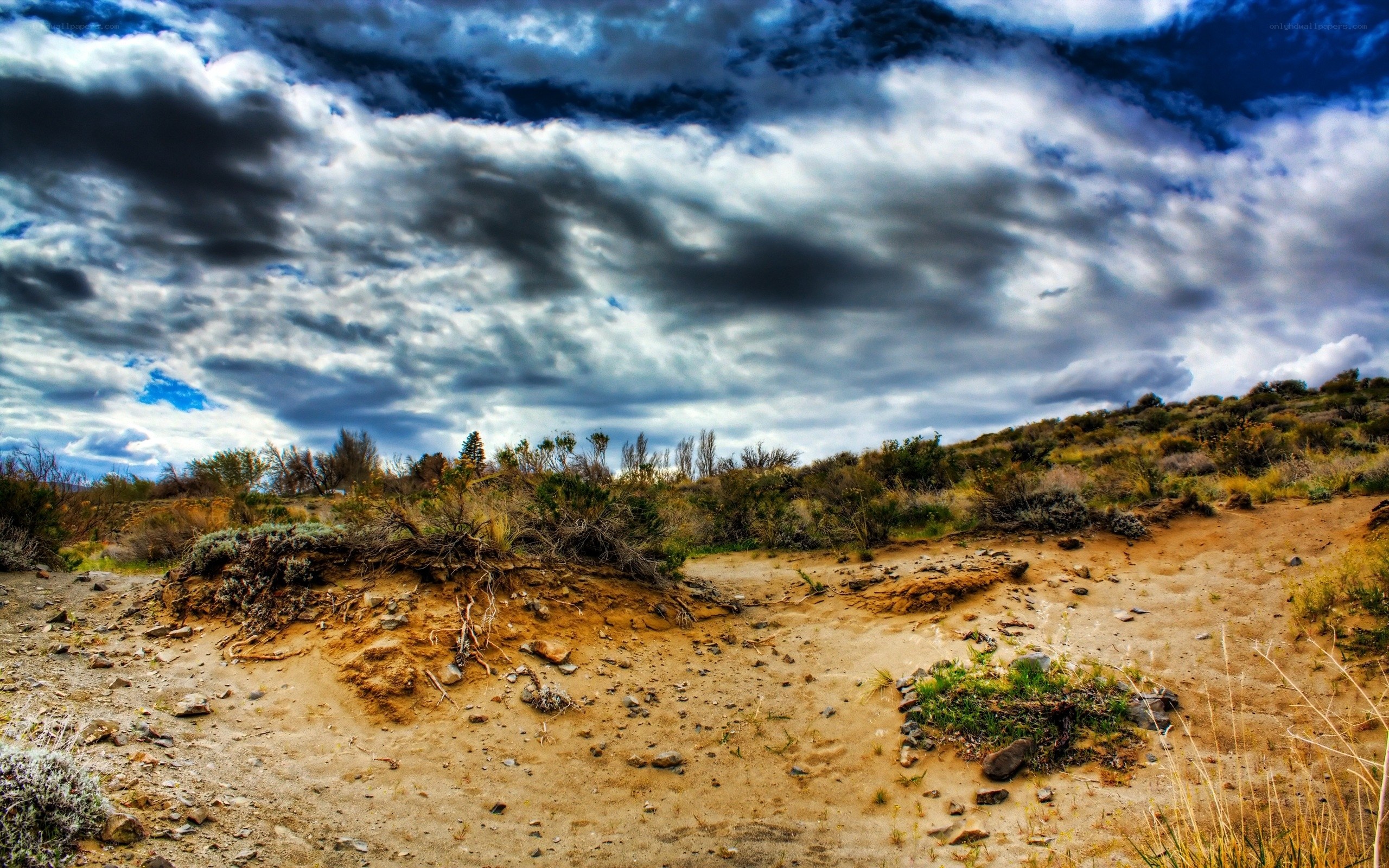 Desert landscape under stormy sky
