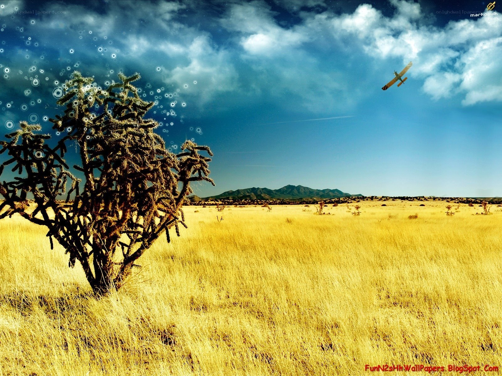 Desert landscape with airplane