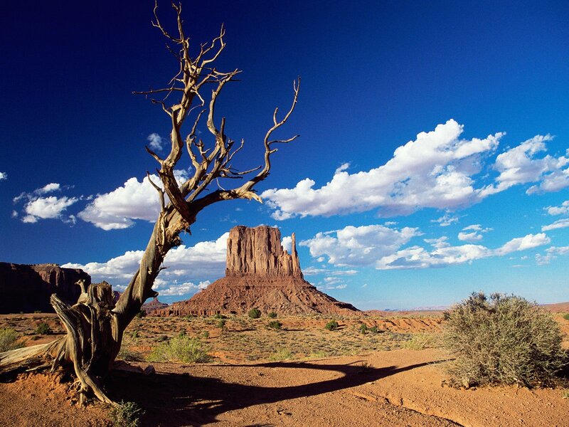 Desert landscape with butte
