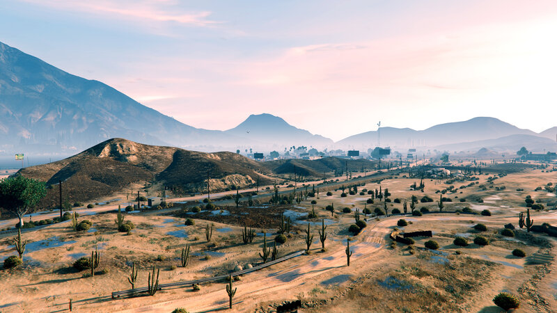 Desert Landscape with Cacti — Brown