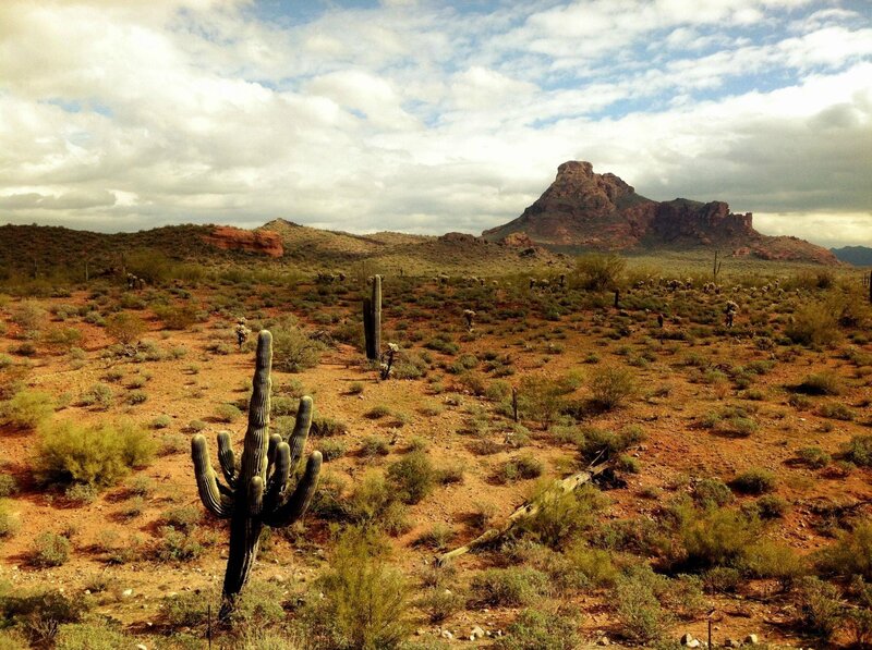 Desert landscape with cactus and rock formation
