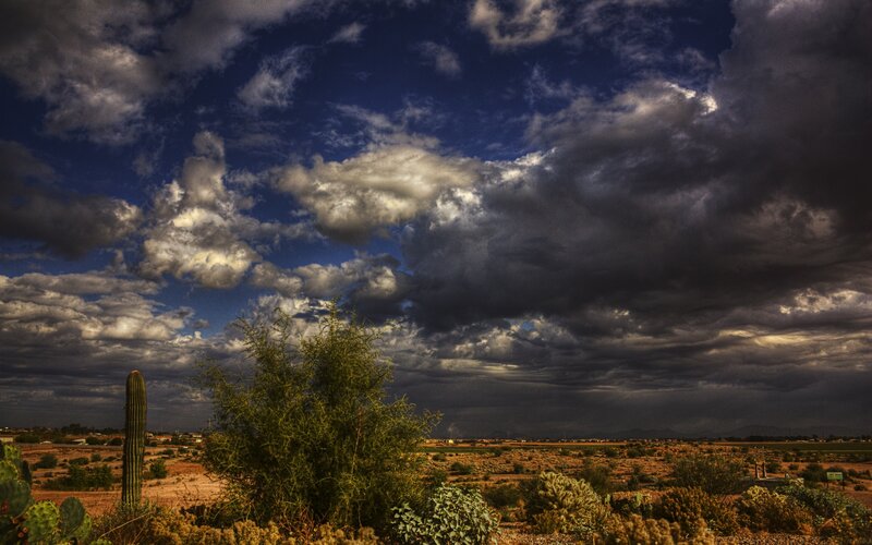 Desert Landscape with Cactus — Blue, Dramatic, Afternoon