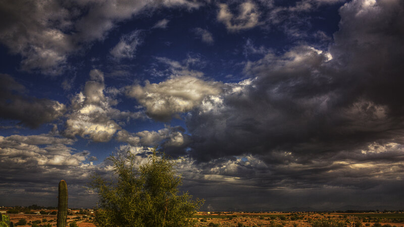 Desert Landscape with Cactus — Blue