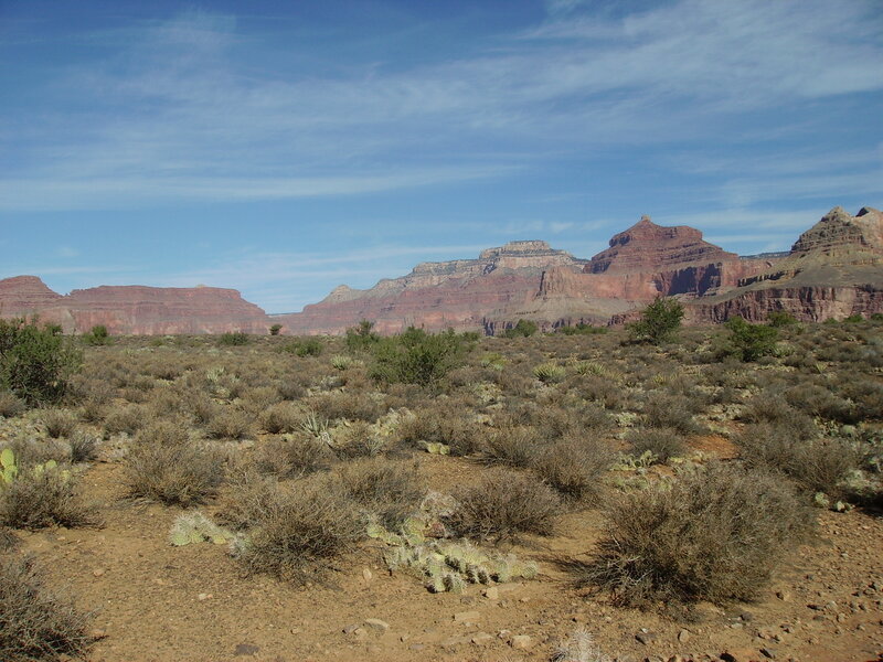 Desert Landscape with Cliffs — Brown