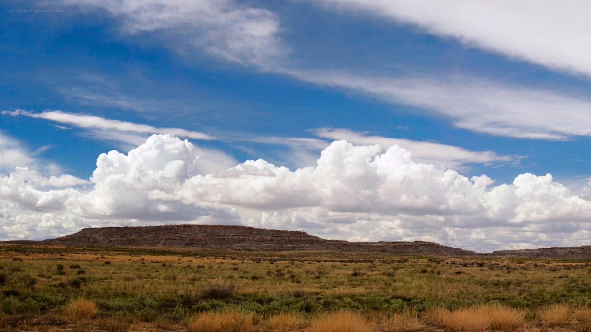 Desert landscape with clouds