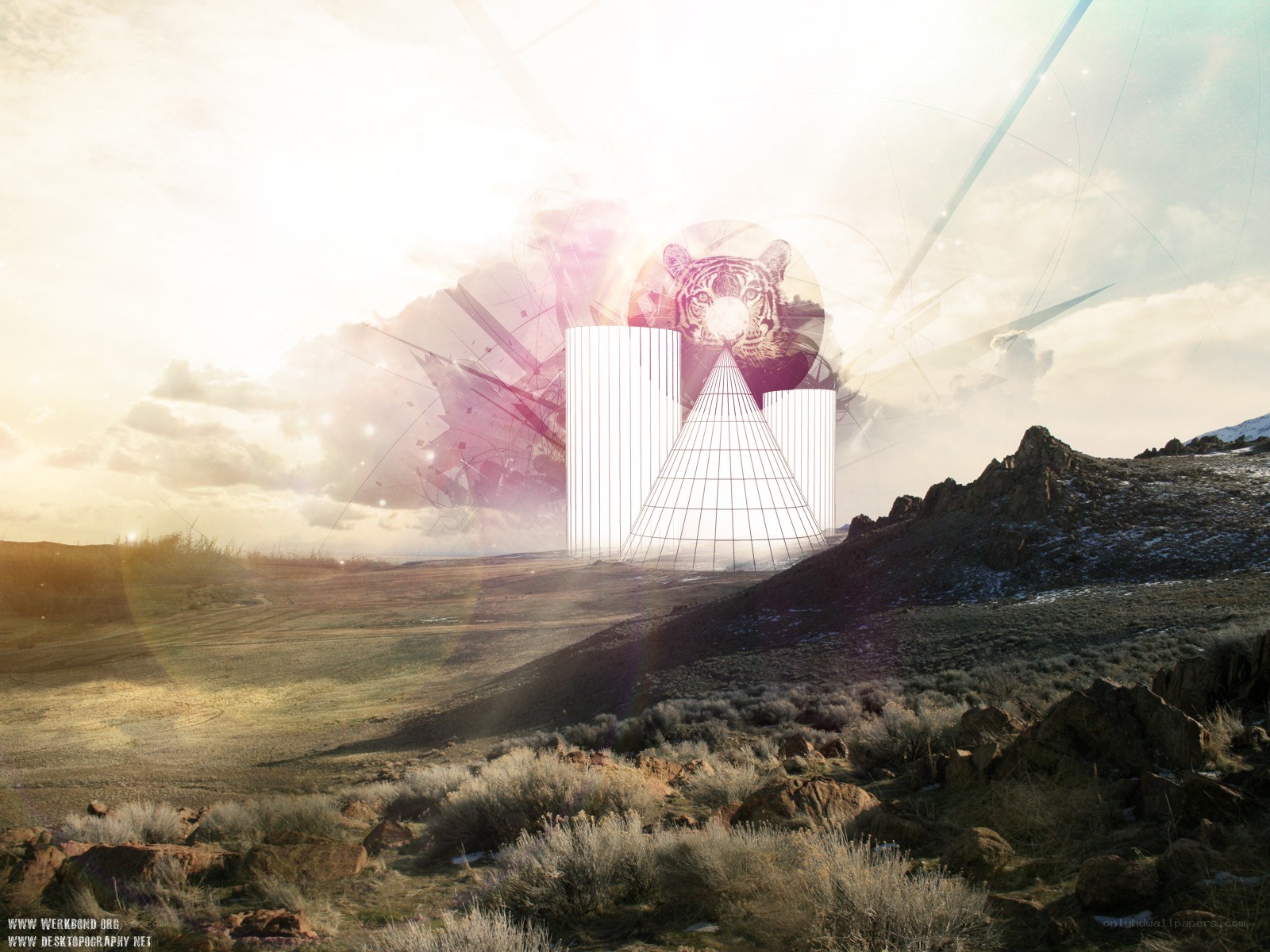 Desert landscape with digital art