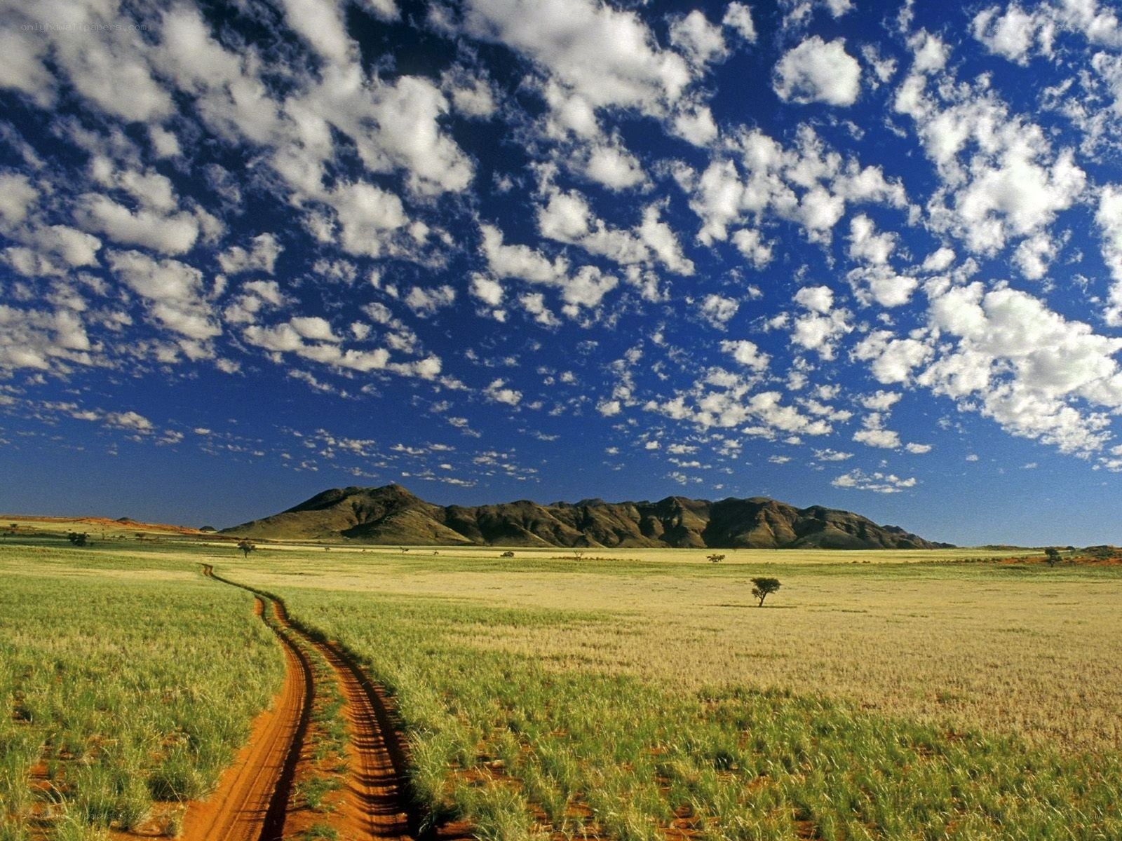 Desert landscape with dirt road