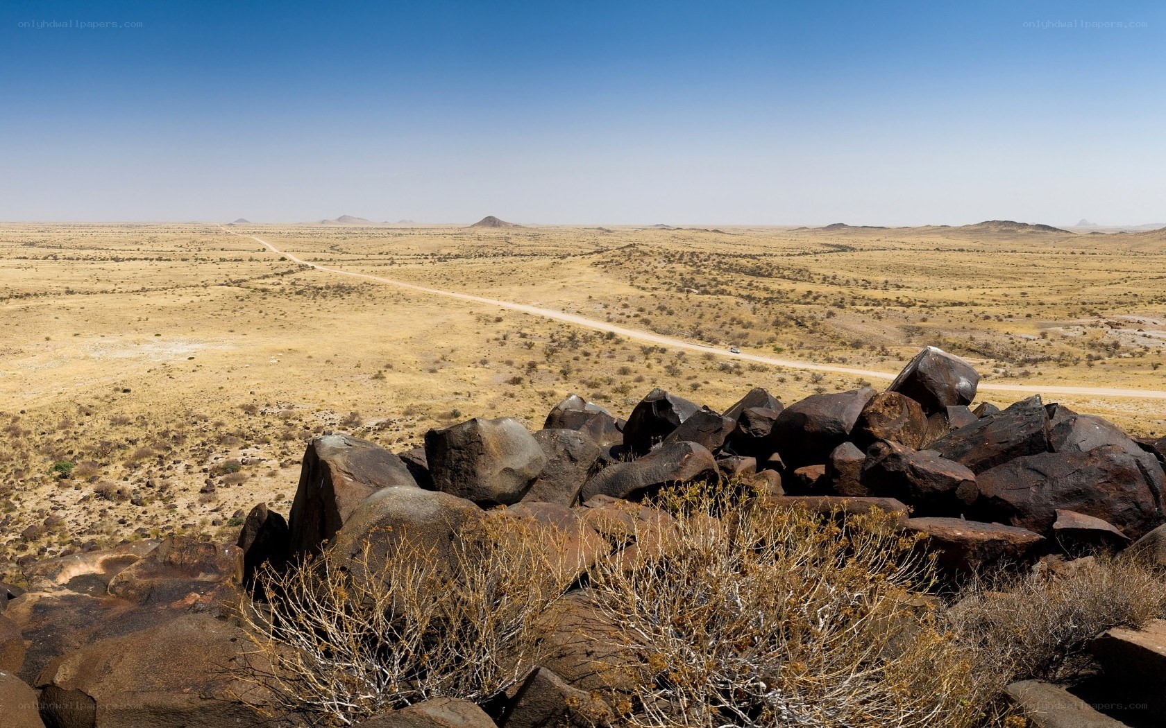 Desert landscape with dirt road