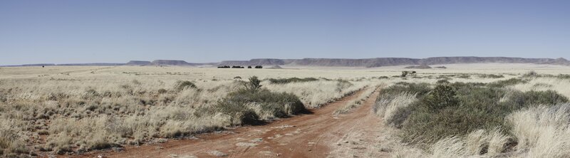 Desert landscape with dirt road