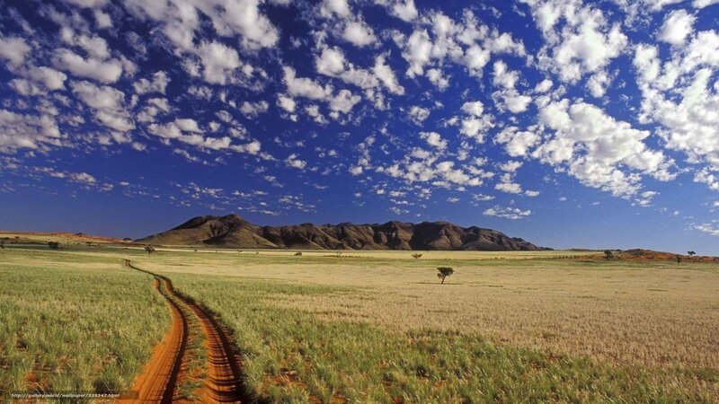 Desert landscape with dirt road