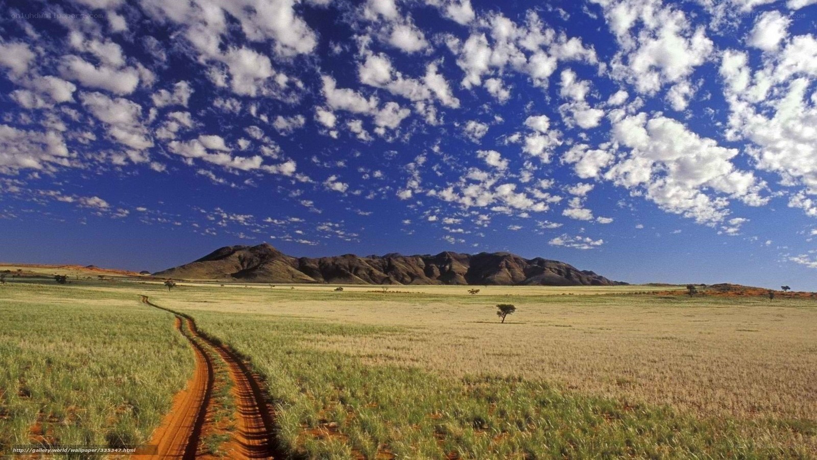 Desert landscape with dirt road