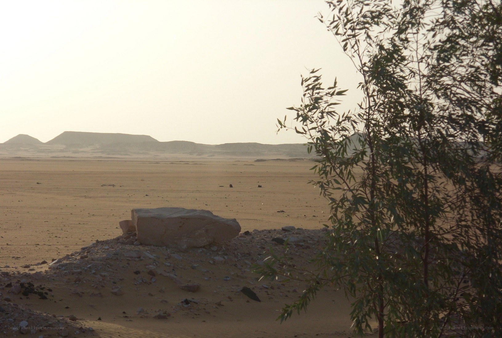 Desert landscape with distant hills