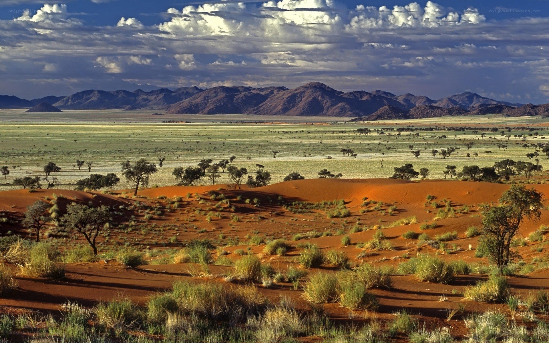 Desert landscape with dunes and mountains
