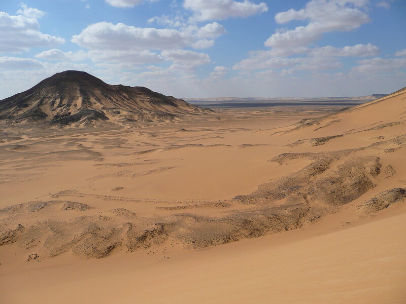 Desert Landscape with Dunes — Brown