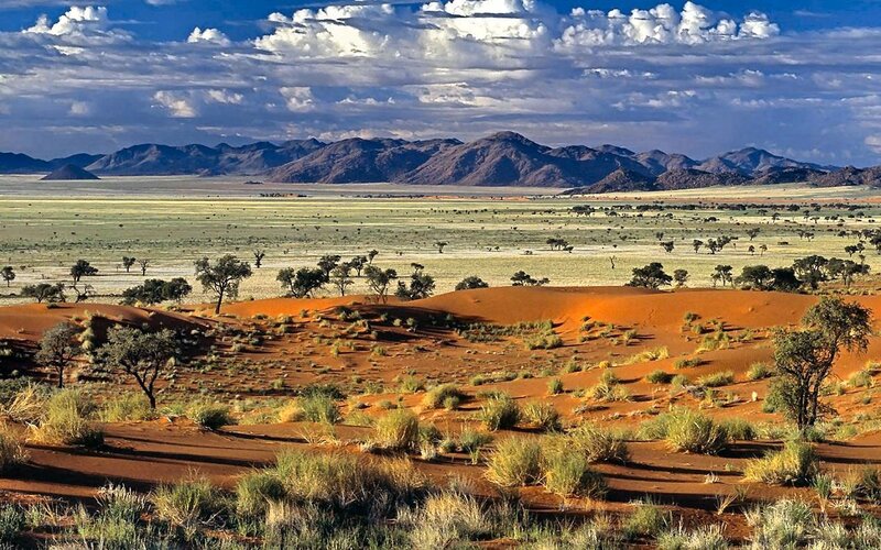 Desert landscape with dunes