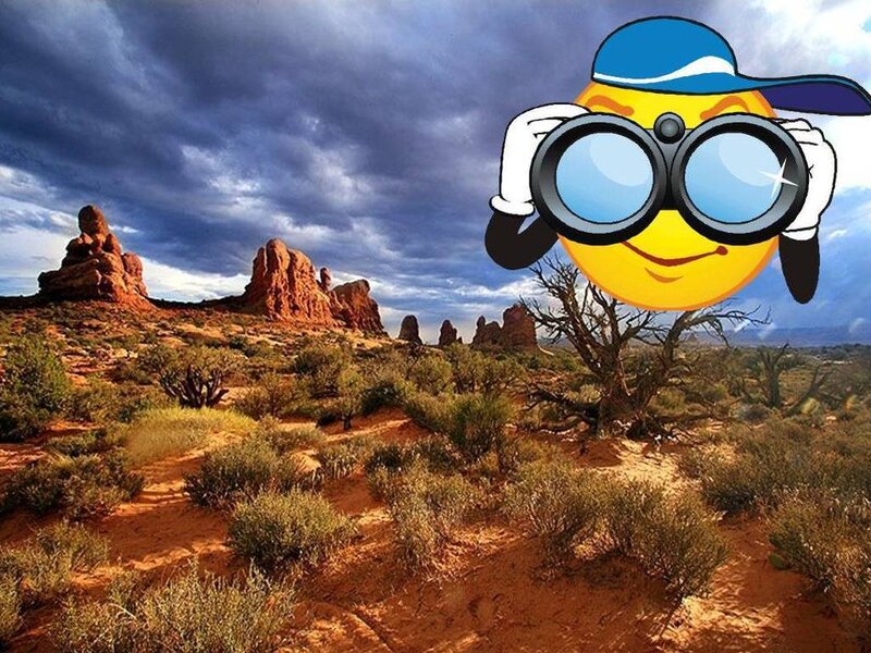 desert landscape with emoji observer
