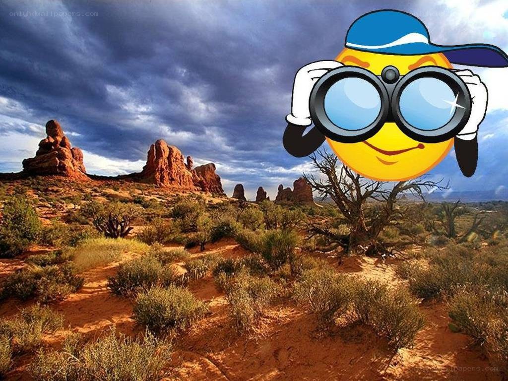desert landscape with emoji observer