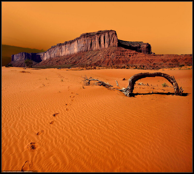Desert landscape with footprints